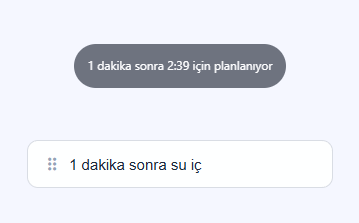 Gerçek Standart Bar: yazarken anlaşılan zaman üstte görünür.